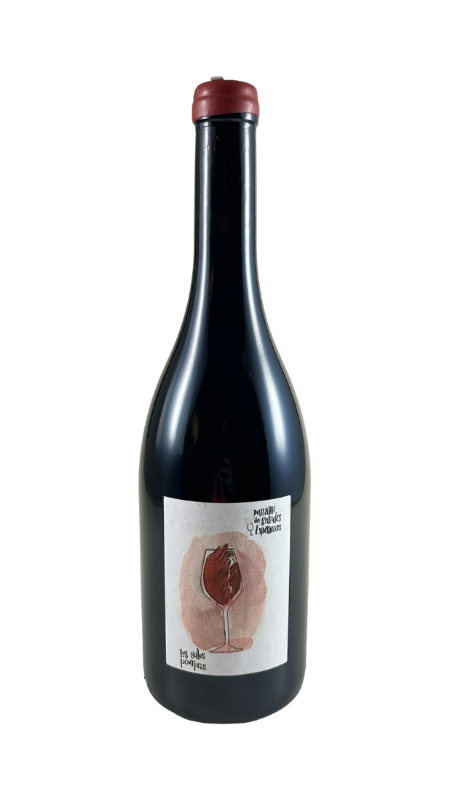 Les Ailes Pourpres, Bio, Touraine AOP rouge
Domaine des Grandes Ésperances