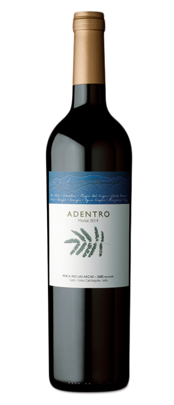 Adentro MERLOT, Finca Rio las Arcas, Valles Calchaquíes, Argentinien
