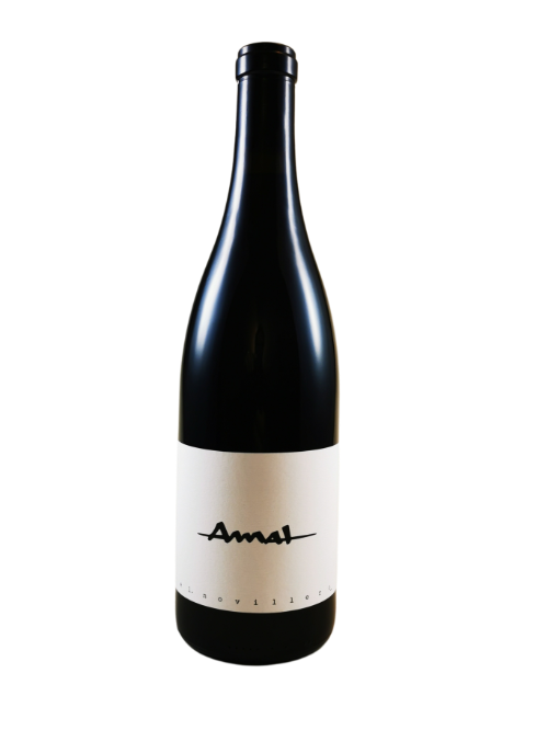 Amat - EL Novillero Sonoma Pinot Noir
