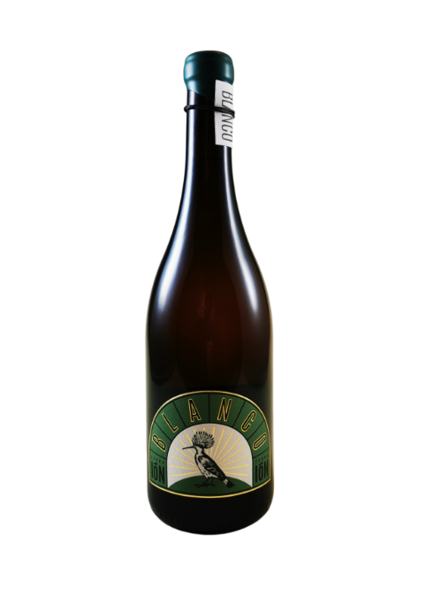 Terra Ion - DedicacIóN Blanco
