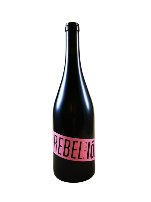 Terra Ion - REBELIóN