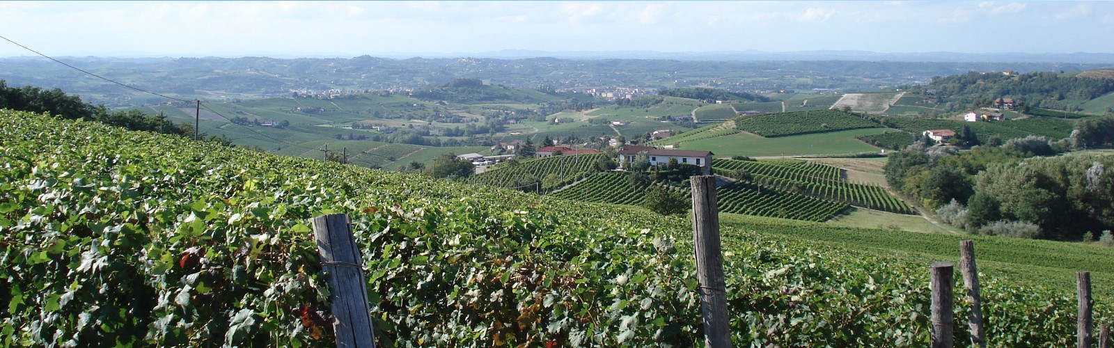 Torraccia del Piantavigna, Ghemme DOCG