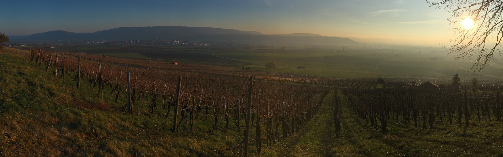 Markus Ruch Weinbau, Neunkirch