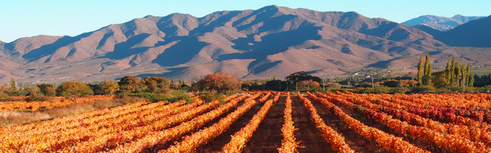 Adentro, Argentinien