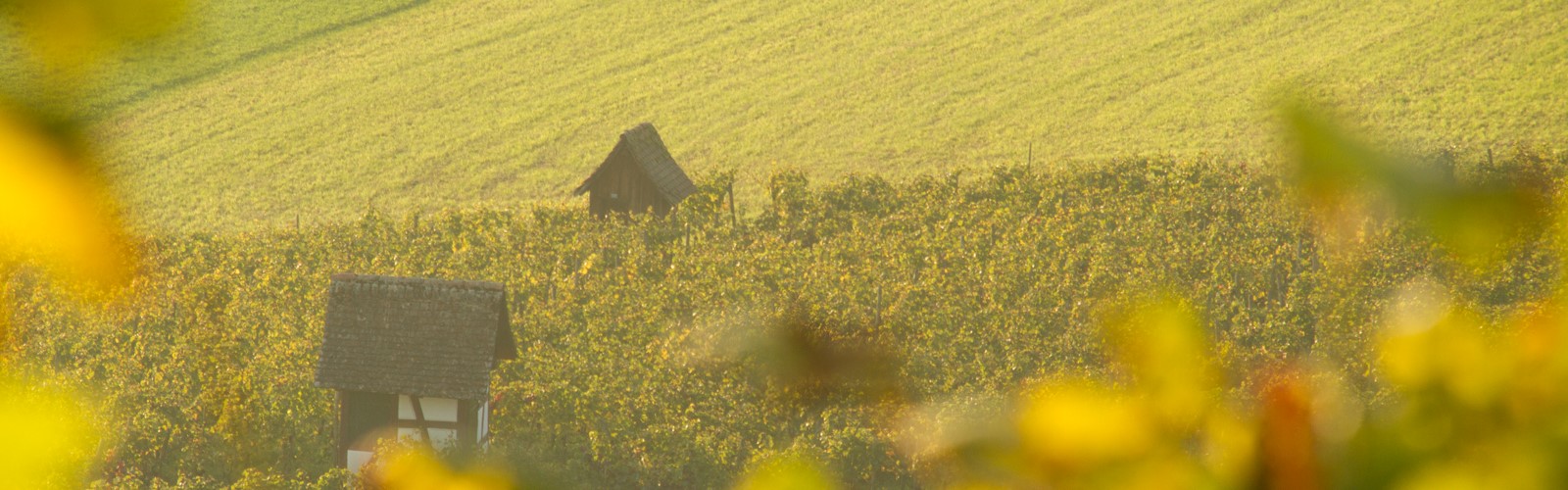 Rötiberg Kellerei, Wilchingen