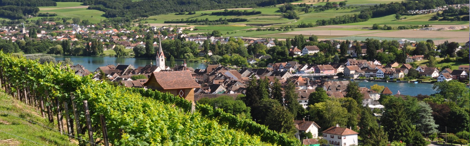 Florin, Stein am Rhein