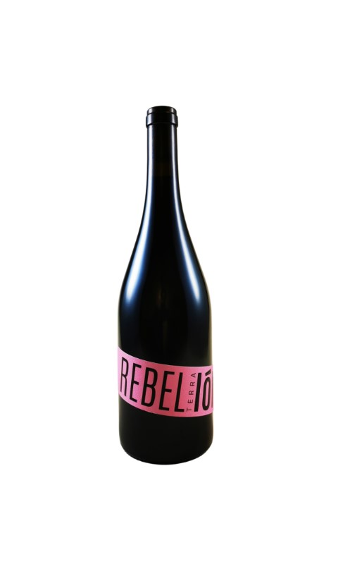 Terra Ion - REBELIóN