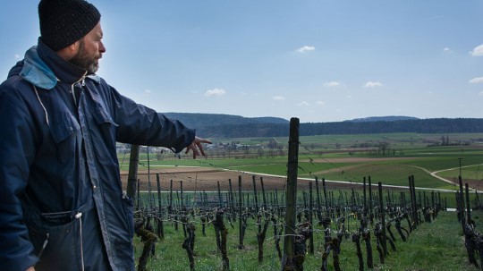 Markus Ruch Weinbau, Neunkirch