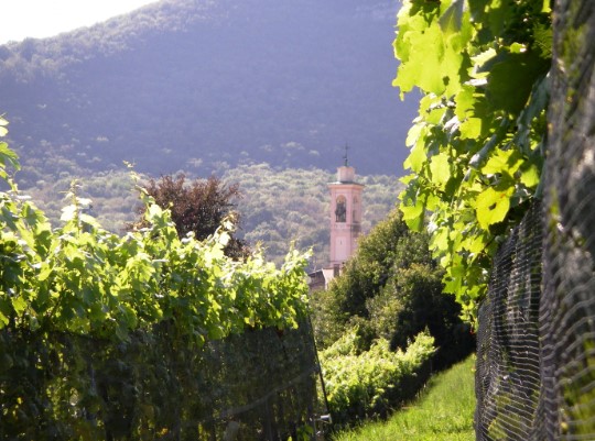 Fumagalli SA, Balerna
