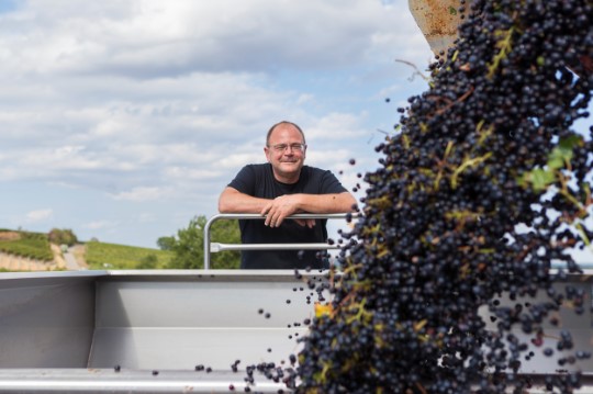 Weingut Uli Metzger, Pfalz