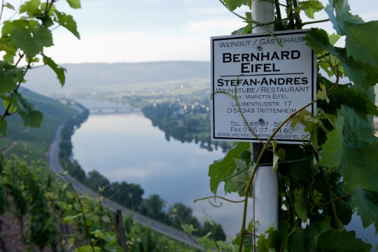 Weingut Bernhard Eifel, Mosel