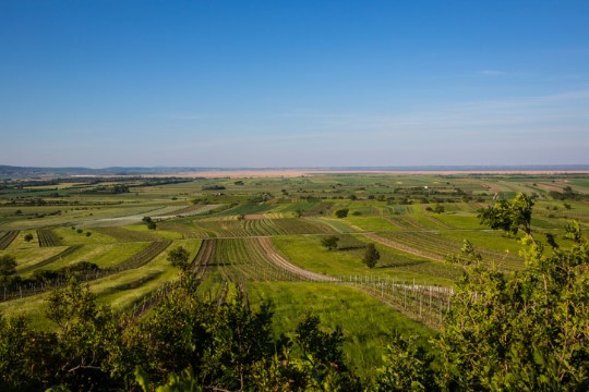 Weingut Prieler